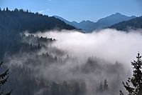 Bernhard Saalfeld - Im Lochbachtal